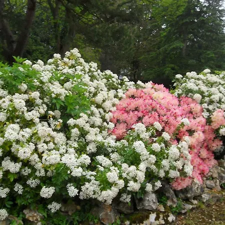 Chambres D'hotes Manoir Du Buquet Bed & Breakfast Honfleur
