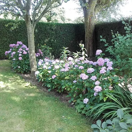 Chambres D'hotes Manoir Du Buquet *