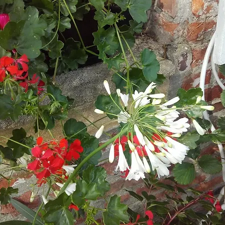 Bed & Breakfast Chambres D'hotes Manoir Du Buquet