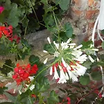 Bed & Breakfast Chambres D'hotes Manoir Du Buquet