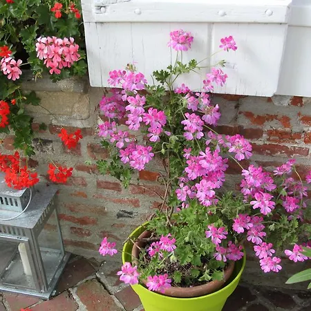 Chambres D'hotes Manoir Du Buquet Honfleur