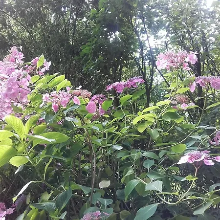 Bed & Breakfast Chambres D'hotes Manoir Du Buquet Honfleur