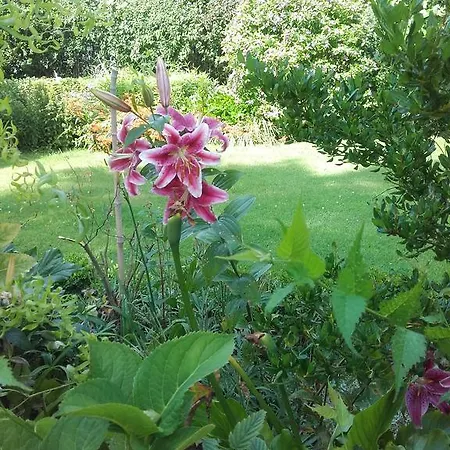 D'hôtes Manoir Du Buquet Honfleur