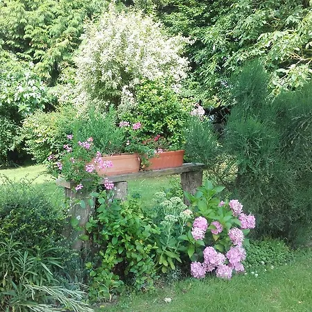 Chambres D'hotes Manoir Du Buquet Bed & Breakfast *