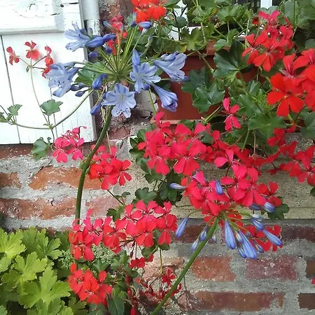 Chambres D'hotes Manoir Du Buquet * Honfleur