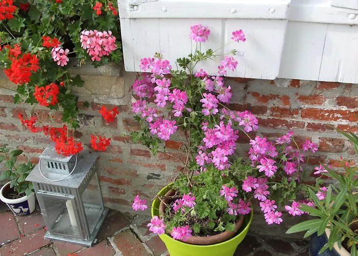 Chambres D'hotes Manoir Du Buquet Honfleur