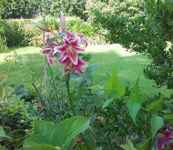Chambres D'hotes Manoir Du Buquet Honfleur