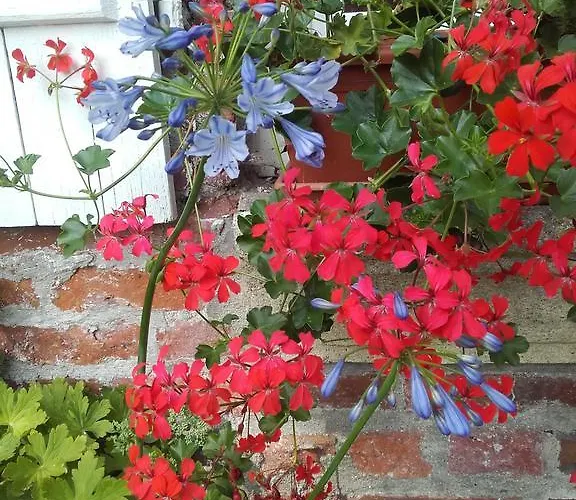 Chambres D'hotes Manoir Du Buquet * Honfleur