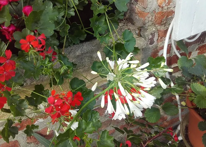 Bed & Breakfast Chambres D'hotes Manoir Du Buquet